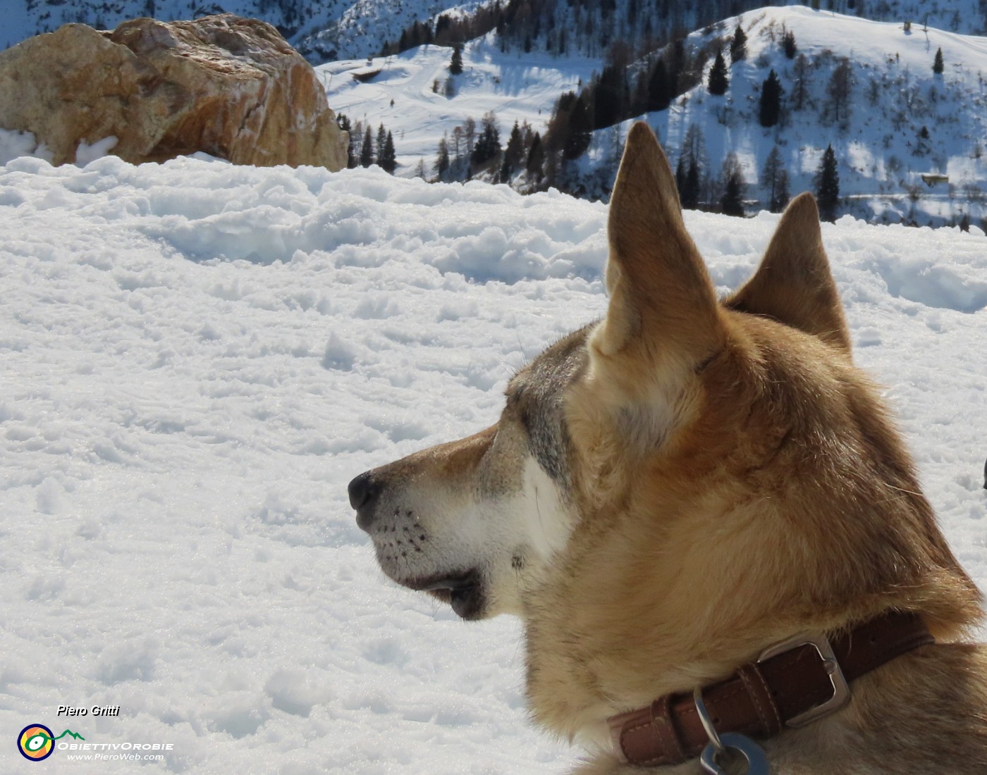 50 Ci godiamo il sole e il panorama!.JPG